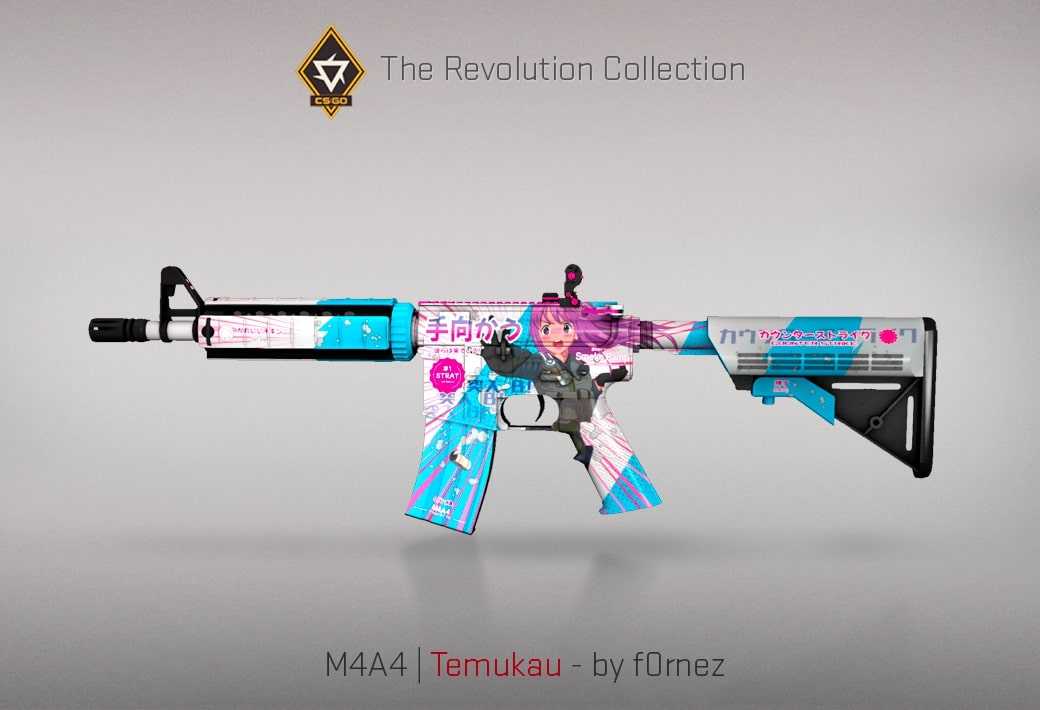 Skin in Revolution case