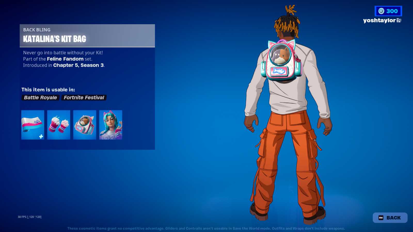 Screenshot of the Fortnite Katalina's Kit Bag Back Bling.