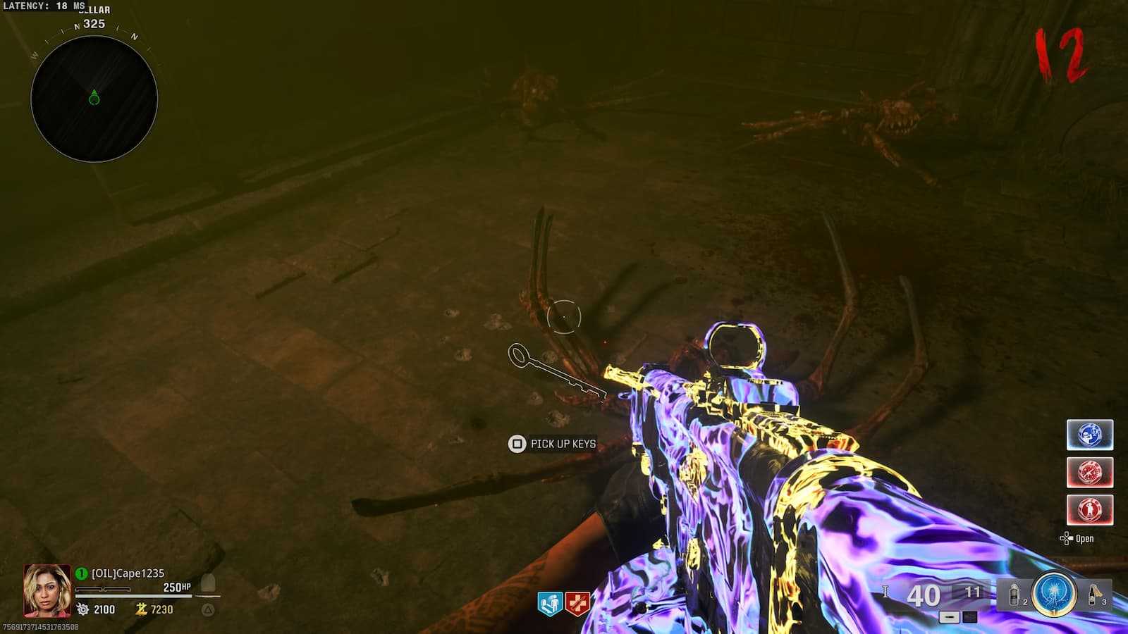 The keys that drop from a Doppleghast boss on Citadelle des Morts in BO6 Zombies