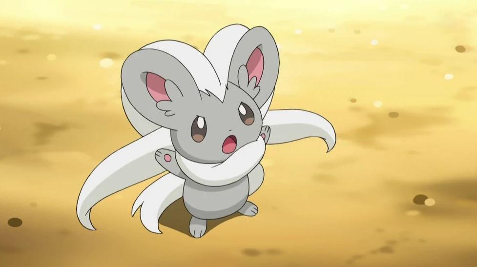 Cinccino Pokemon Go Research Event