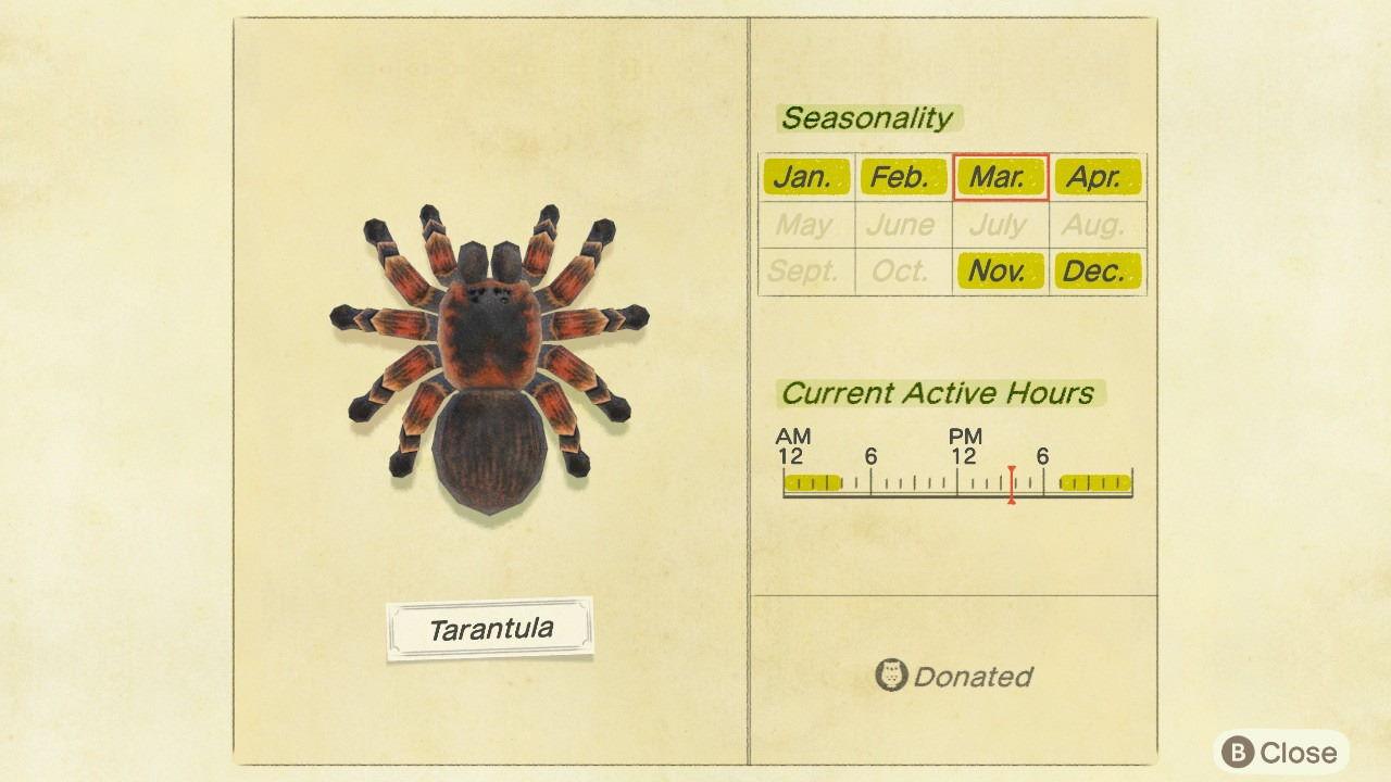 Animal Crossing tarantulas