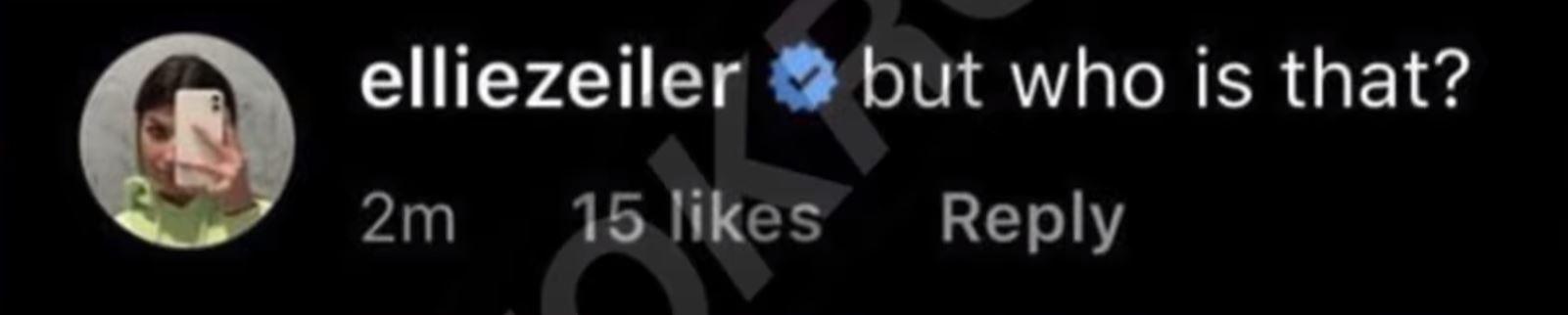 Ellie Zeiler TikTok Comment