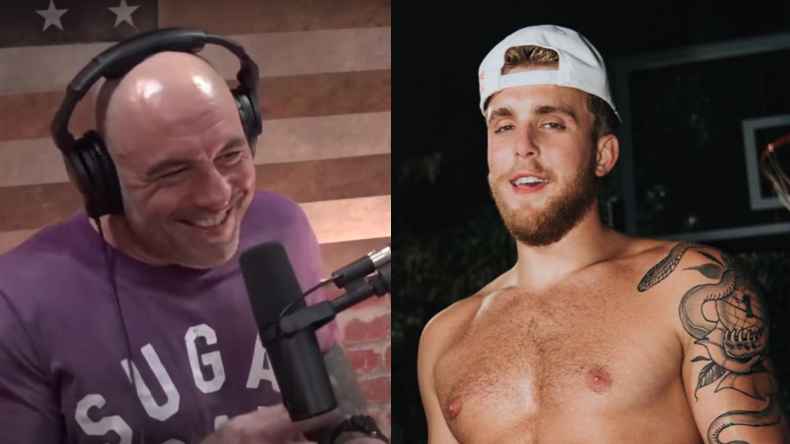 Joe Rogan Jake Paul