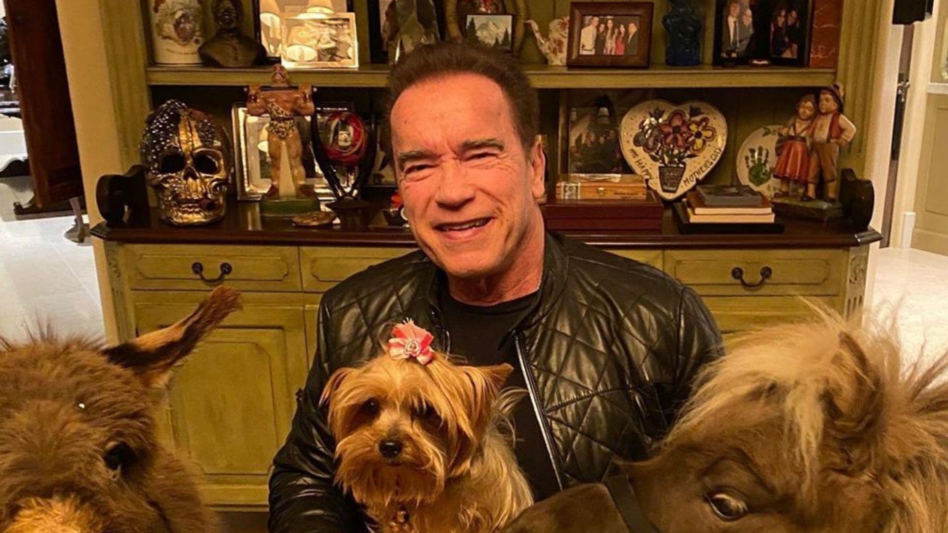 arnold schwarzenegger