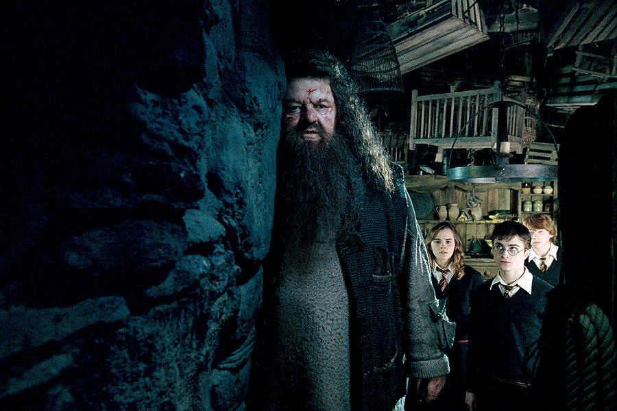 Hagrid Harry Potter