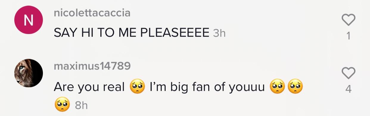 Comment on a fake Tom Holland TikTok account