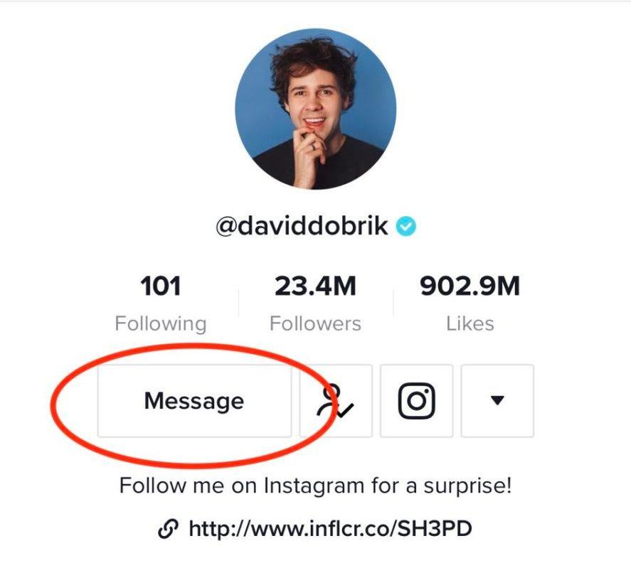 David Dobrik TikTok page