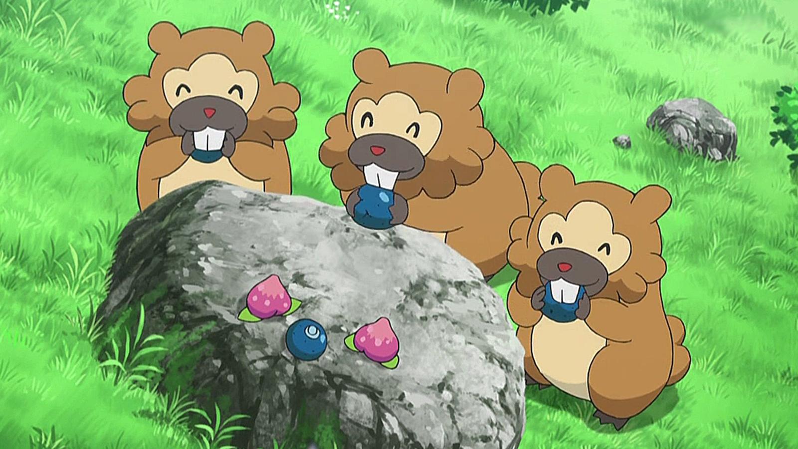 Bidoof Pokemon Go