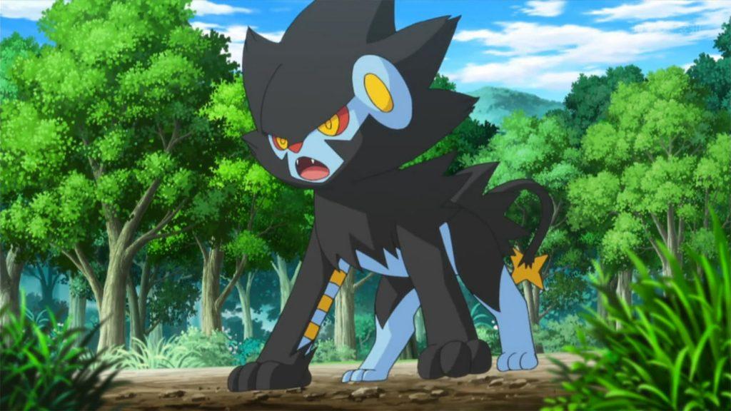 Luxray in Pokemon