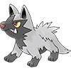 Poochyena Dog Pokemon