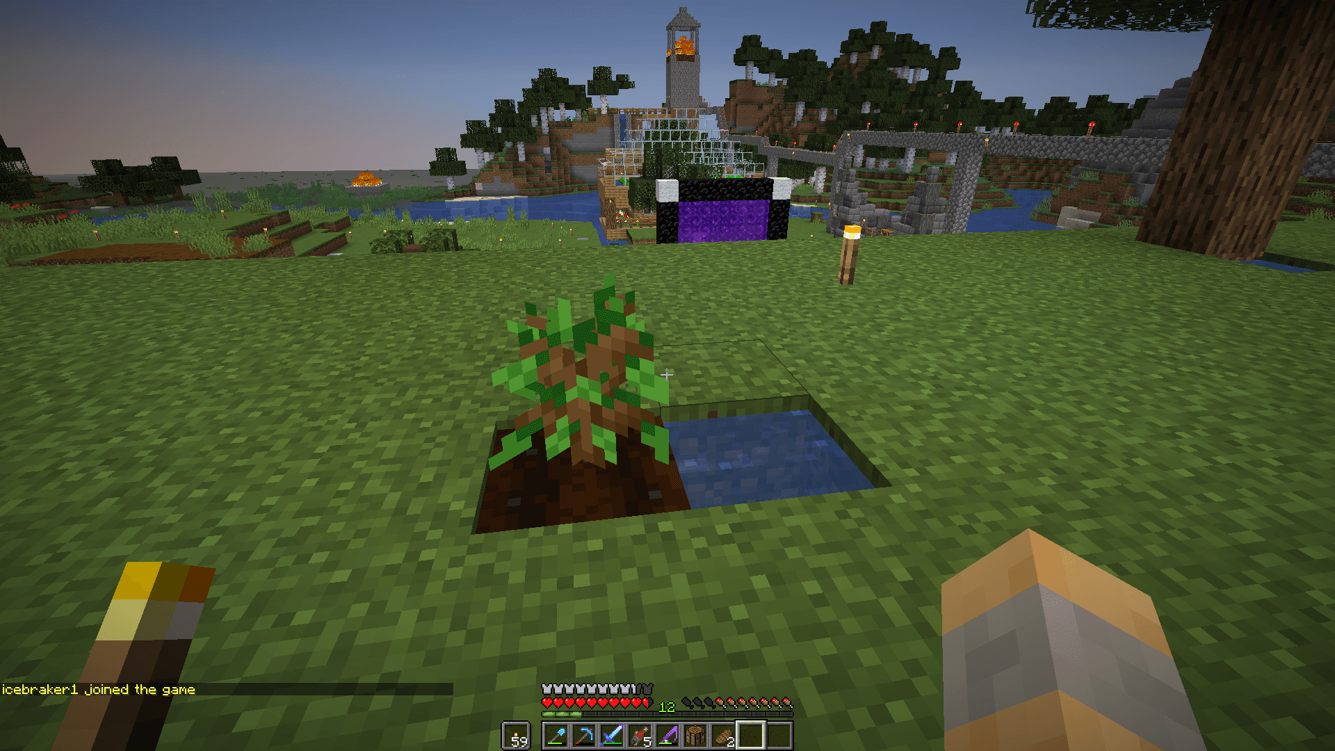 Minecraft sapling placed near water source.