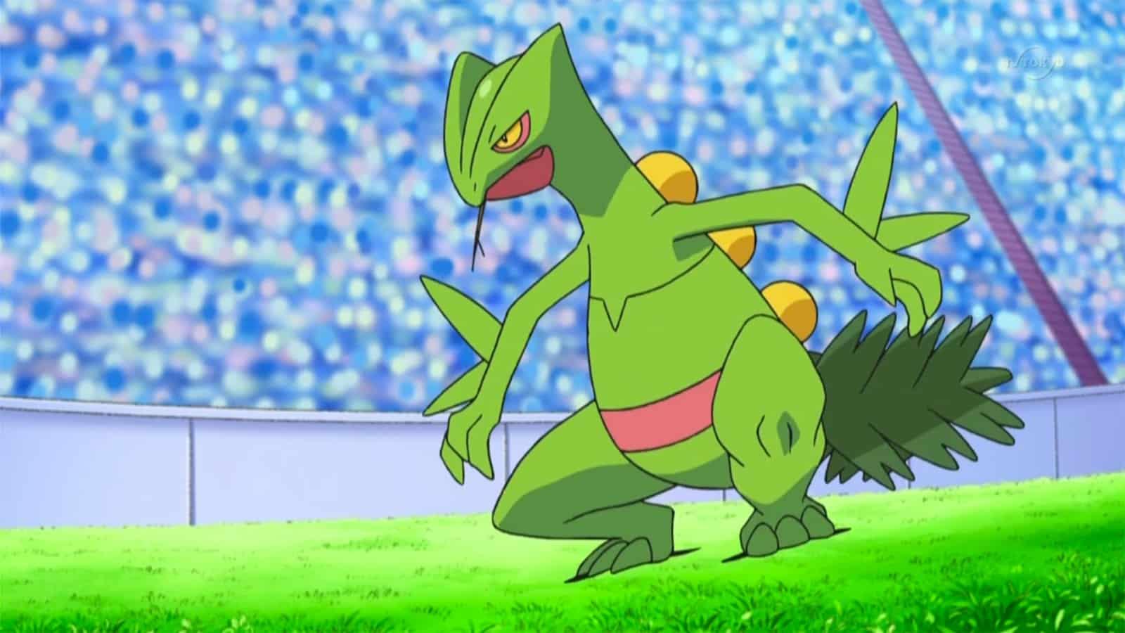 Sceptile Pokemon