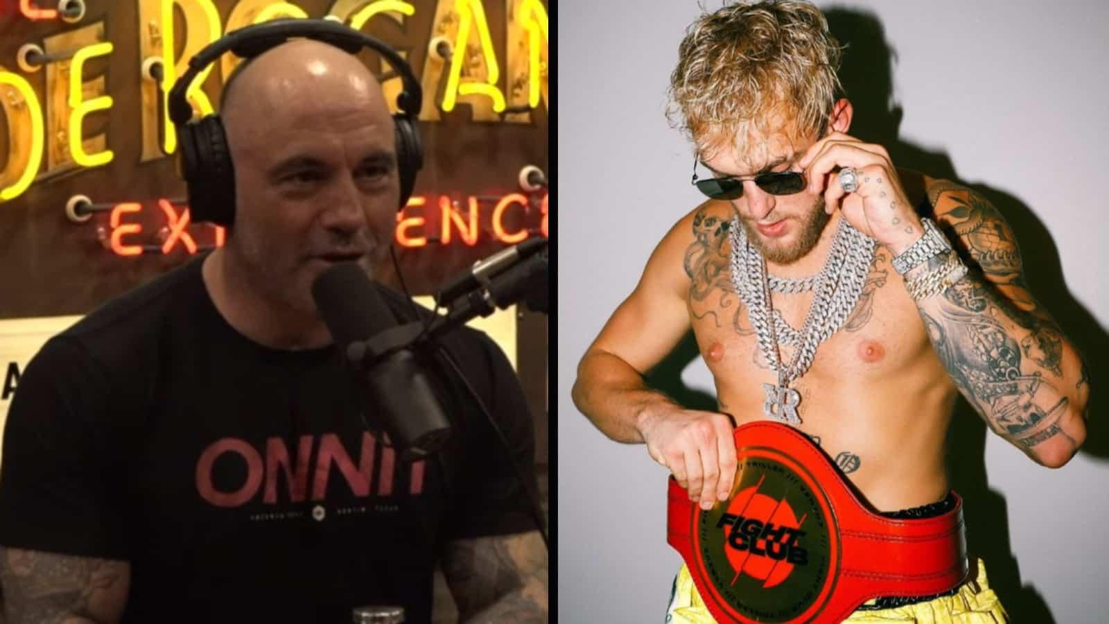 Jake Paul Joe Rogan