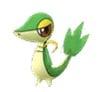 Snivy