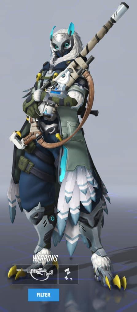 Overwatch Ana Snow Owl skin