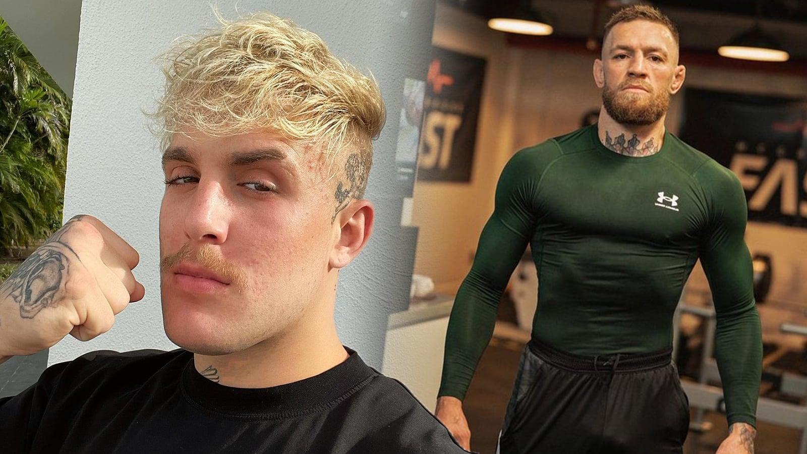 Jake Paul Conor McGregor Fight Offer