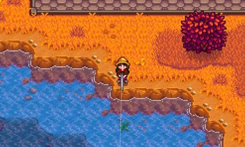 stardew valley fishing spot