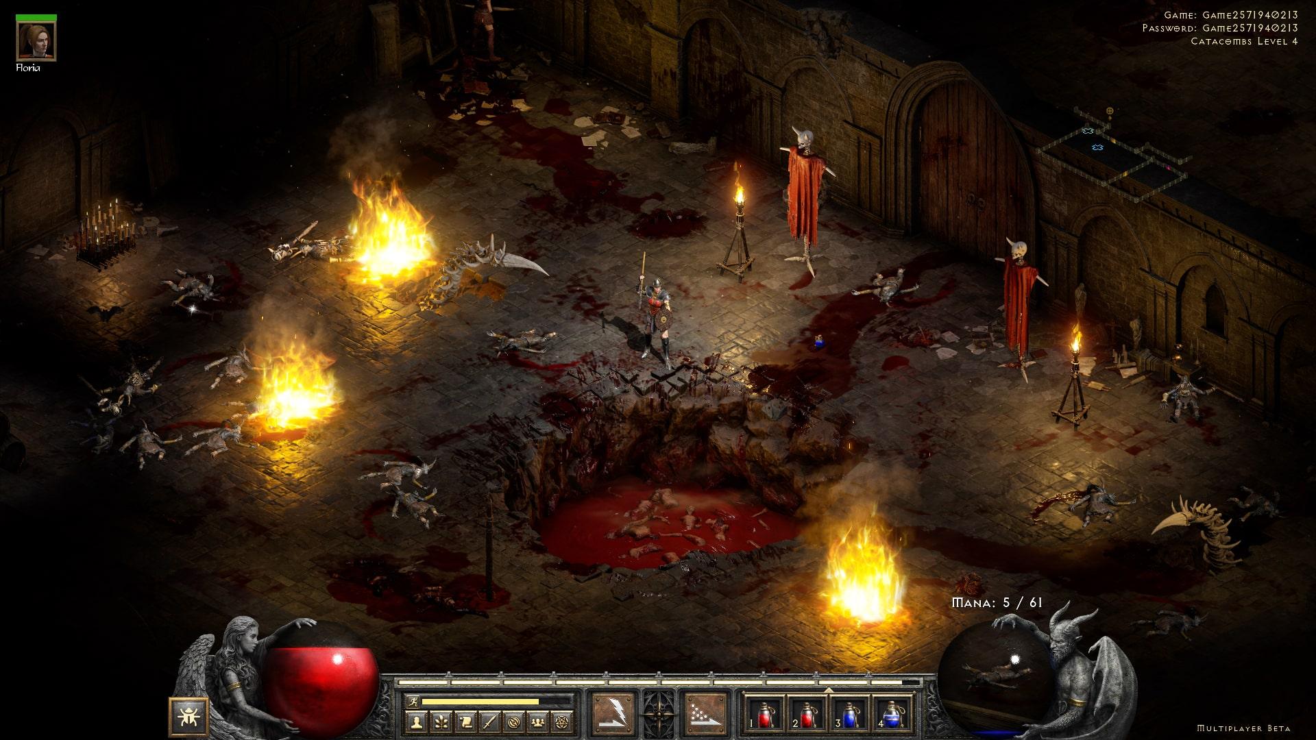 Diablo 2 Resurrected beta