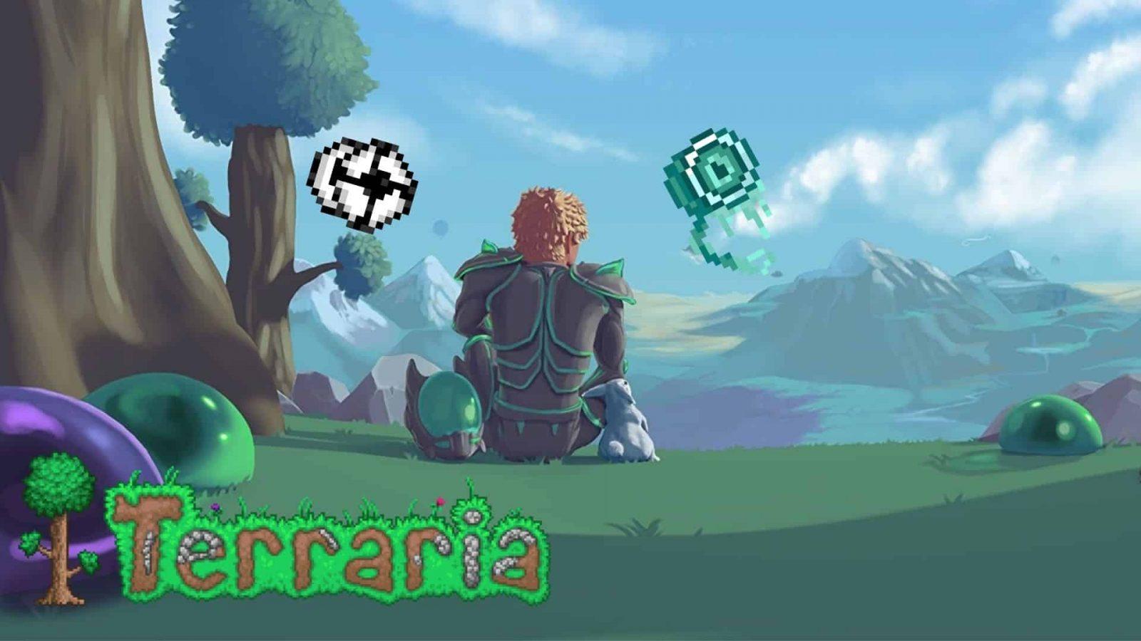 terraria yoyo