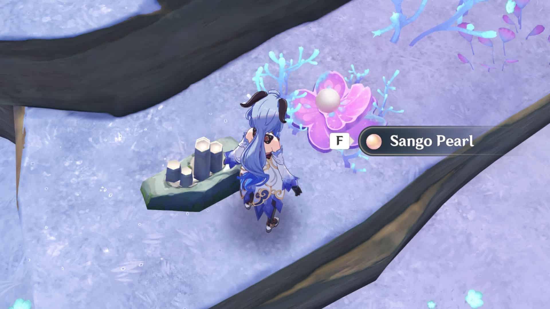 Sango Pearls location in Genshin Impact