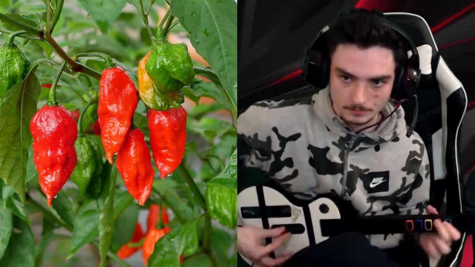 pepper jared