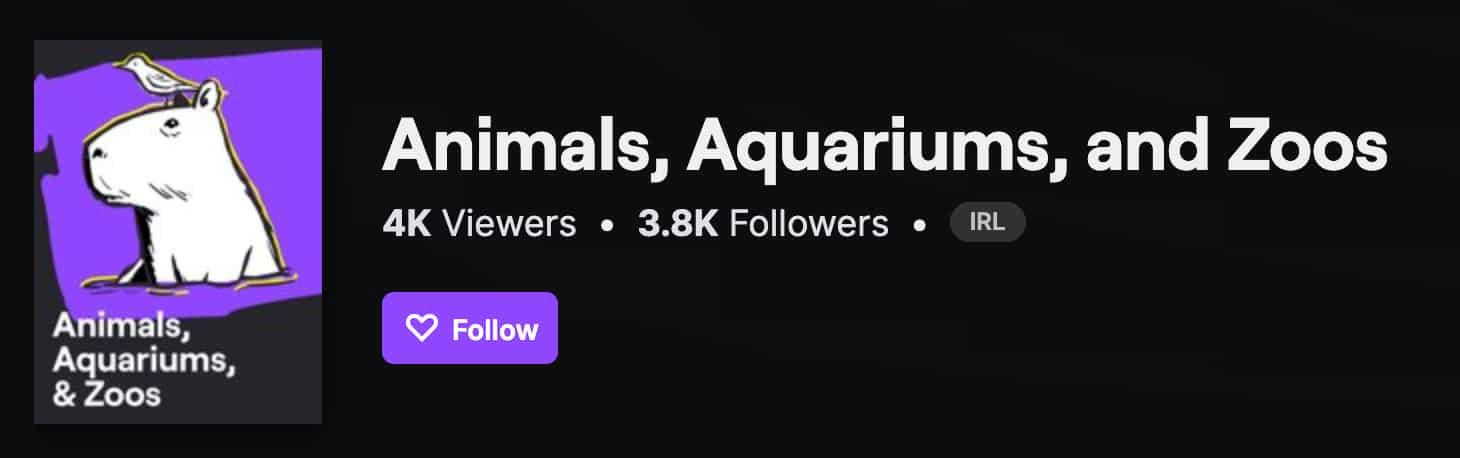 Twitch animals category