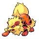 arcanine sprite