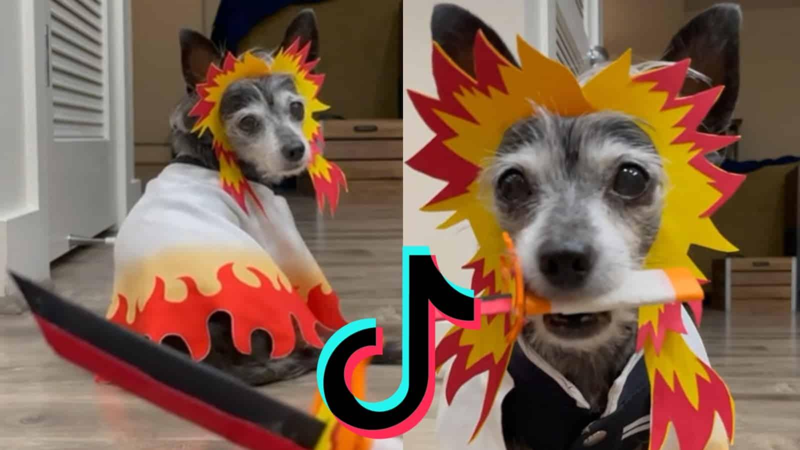 demon slayer tiktok dog