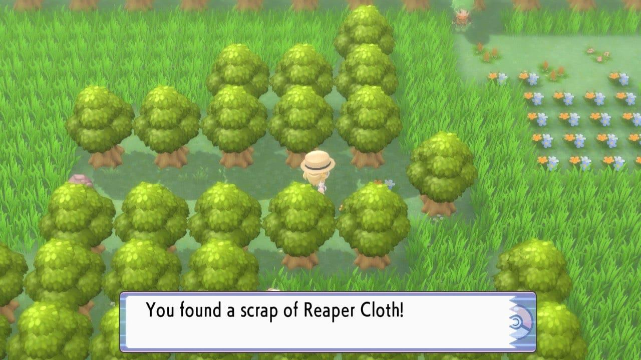 Pokemon Brilliant Diamond & Shining Pearl Reaper cloth item location