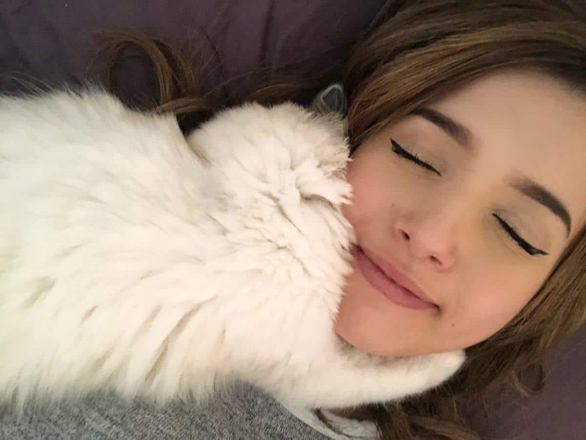 pokimane-cat-kidnapping