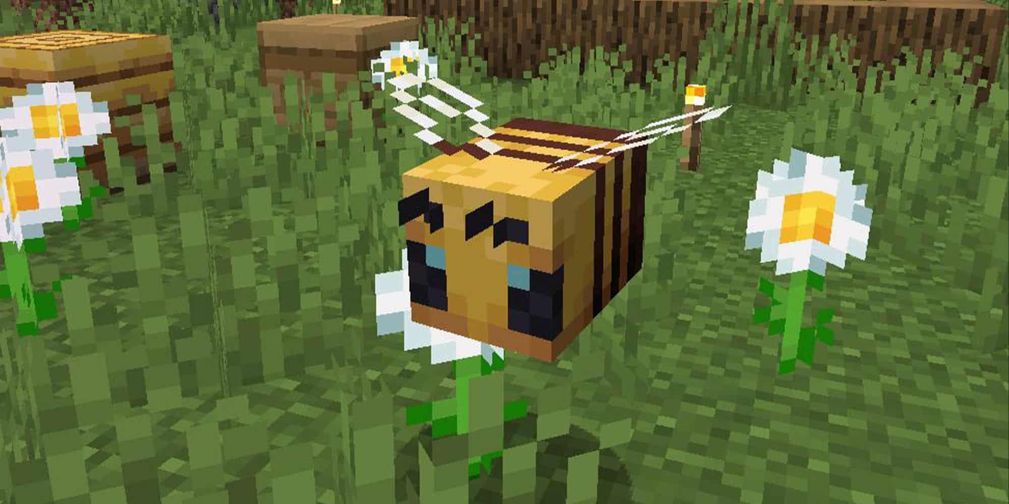 A screenshot of a bee in Minecraft.