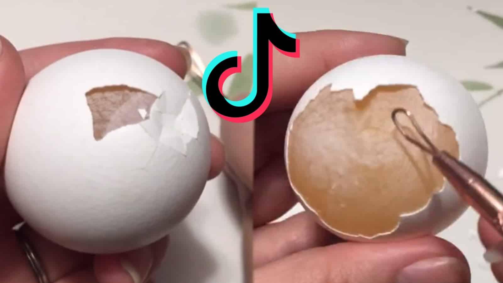 tiktok egg