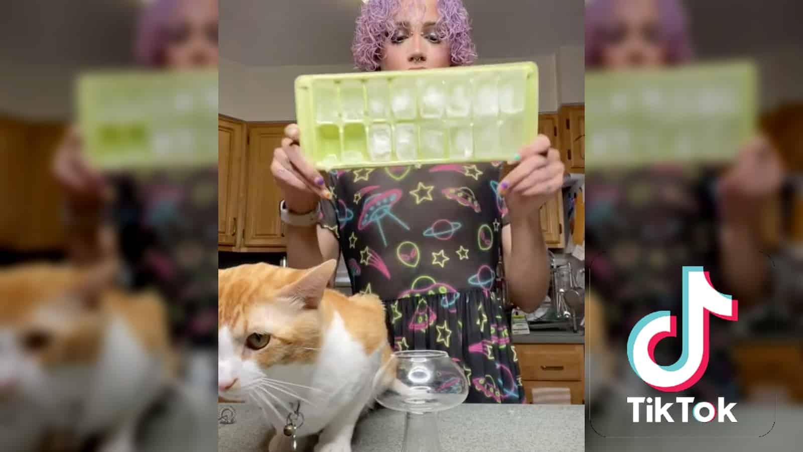 avani reyes throwing ice on cat with tiktok logo in corner