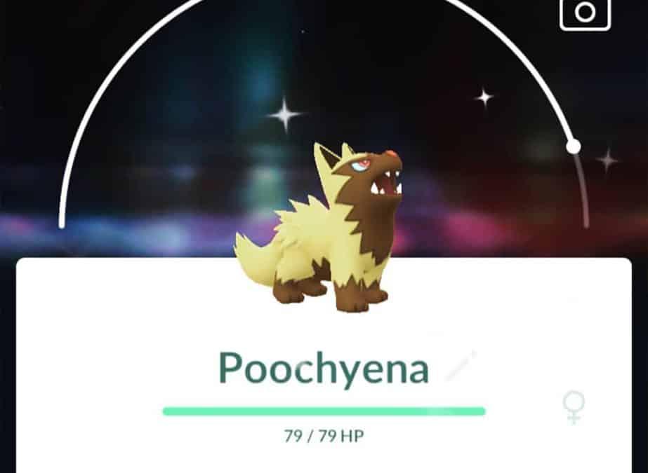 shiny poochyena pokemon go