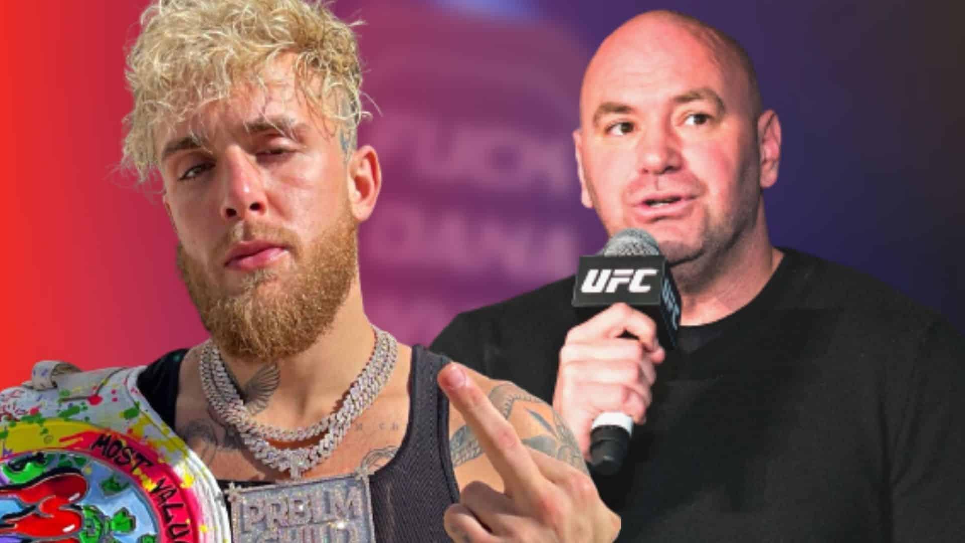 jake paul dana white