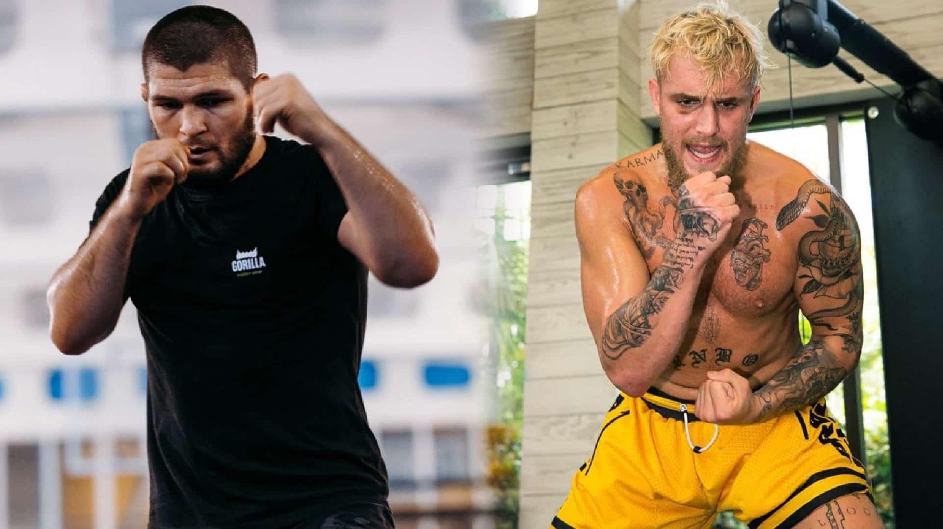 Khabib training next to Jake Paul