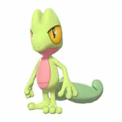 Treecko