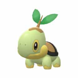 Turtwig in Pokemon Go