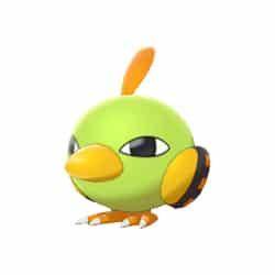 Natu in Pokemon Go