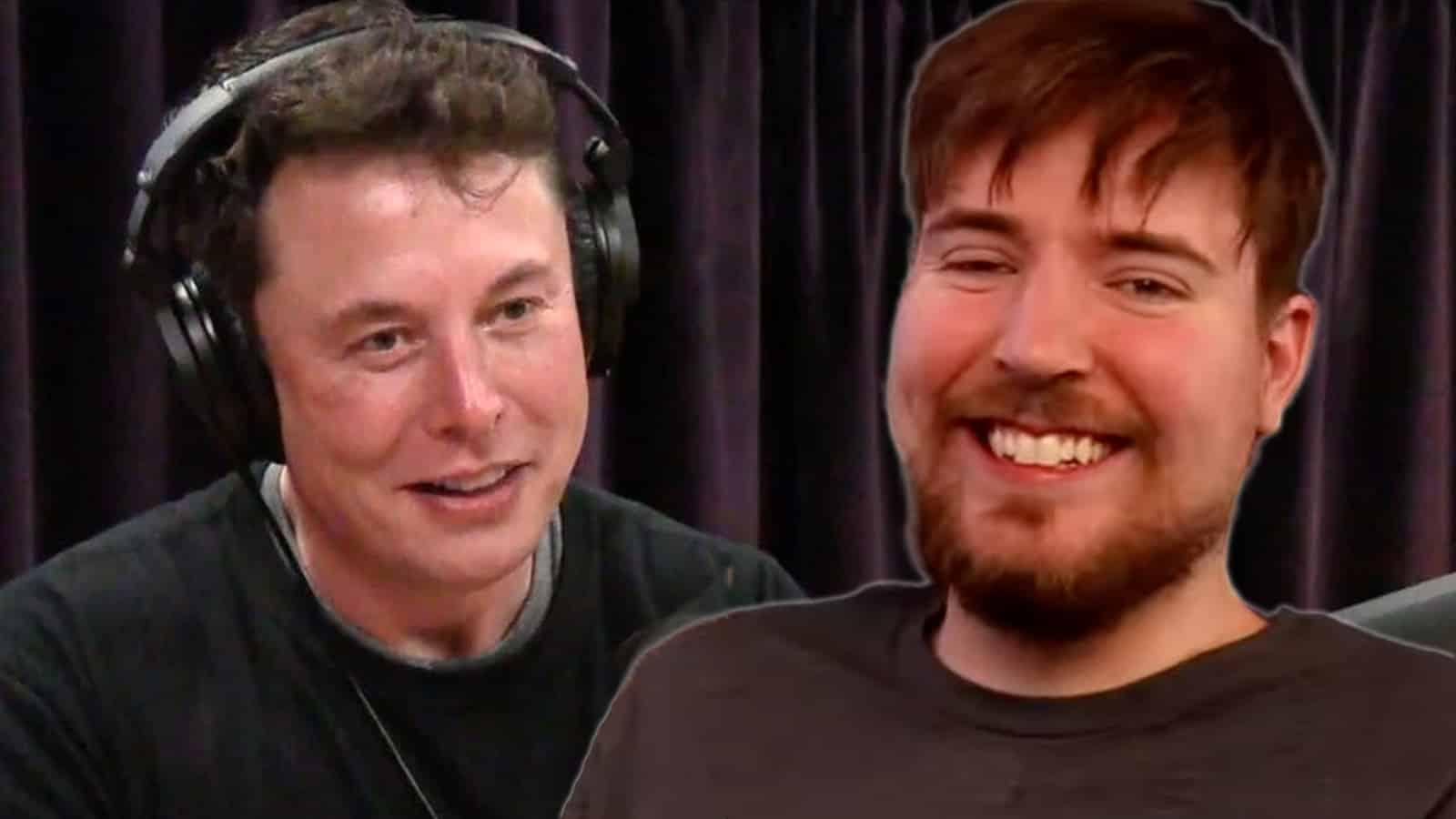 mrbeast-elon-musk