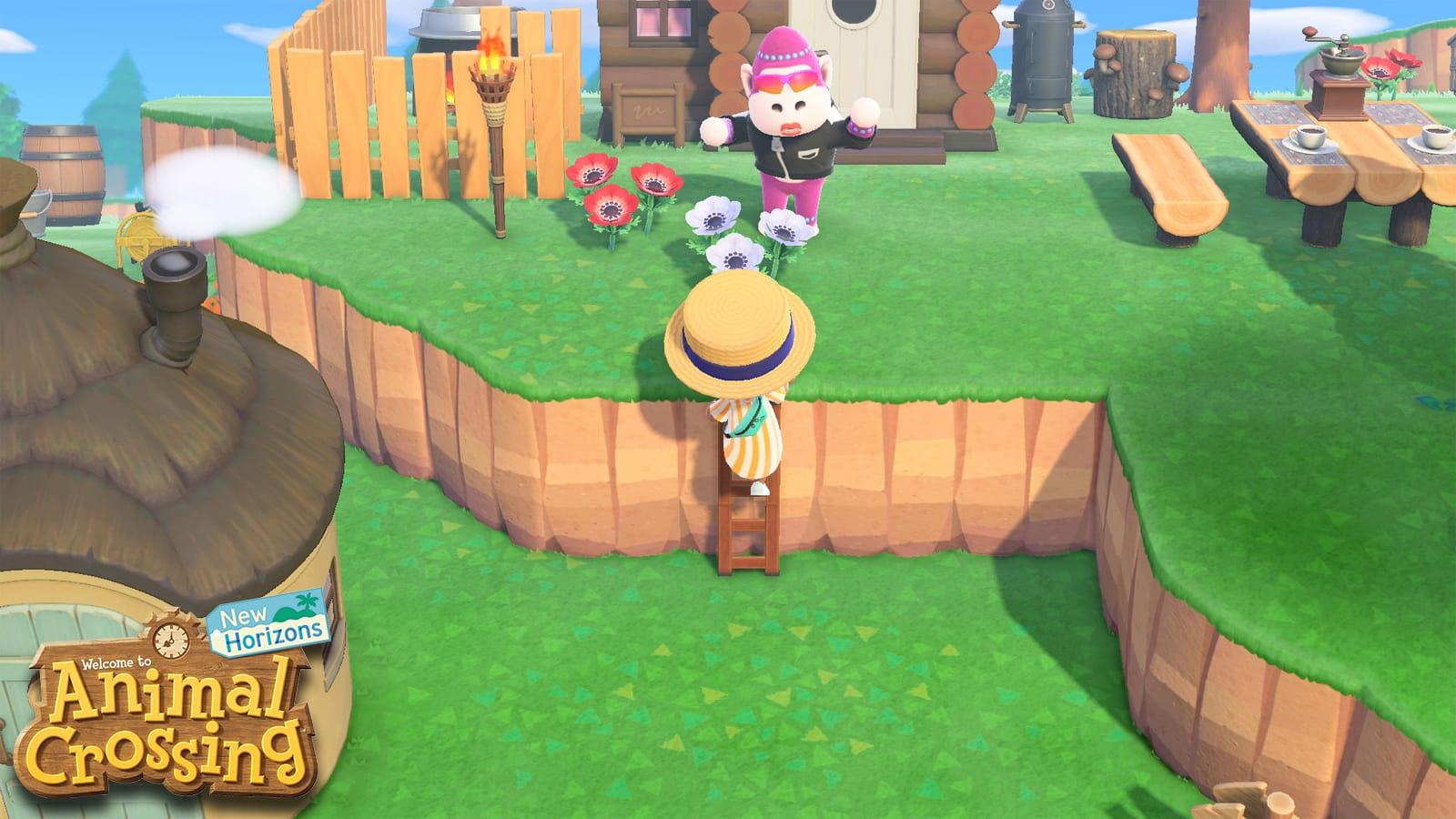 Here are all the steps you need to know before getting the ladder in Animal Crossing: New Horizons