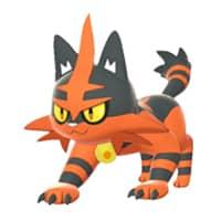 Torracat