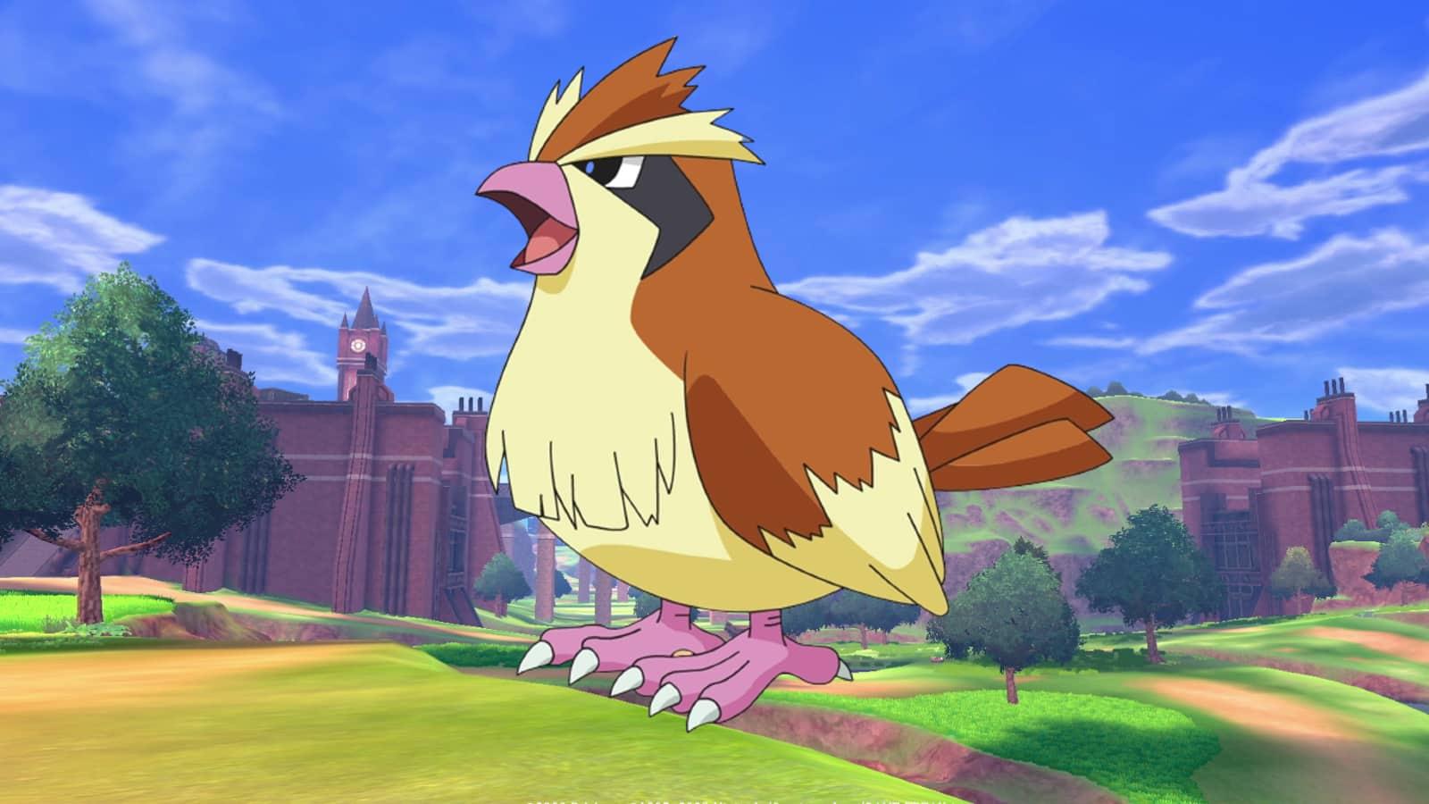 Pidgey flying-type