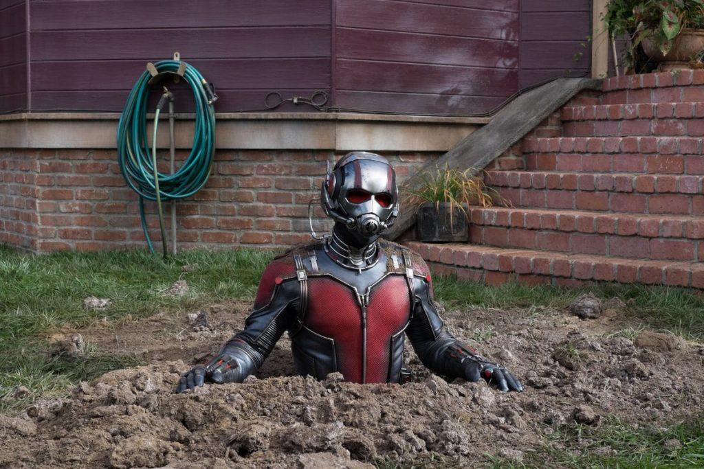 Paul Rudd as Ant-Man in the Marvel Cinematic Universe