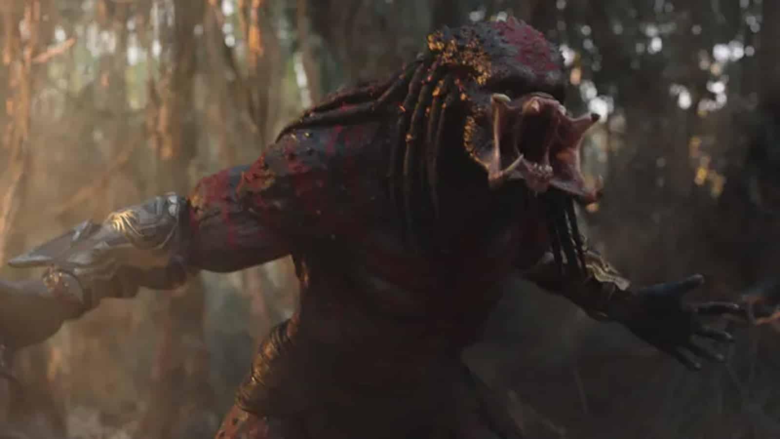 an image of the predator