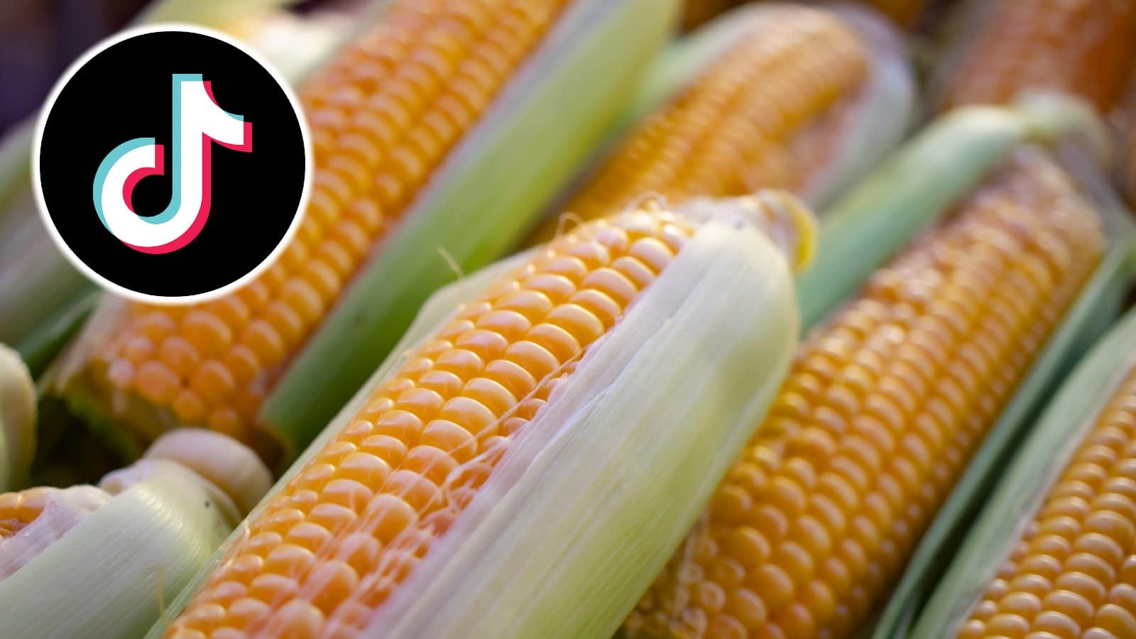 Corn next to the TikTok logo