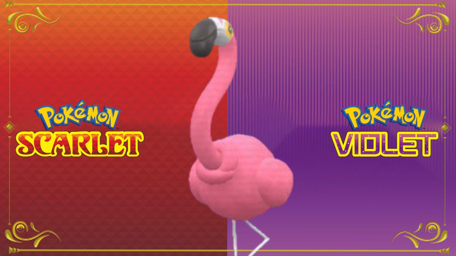 flamigo pokemon scarlet violet