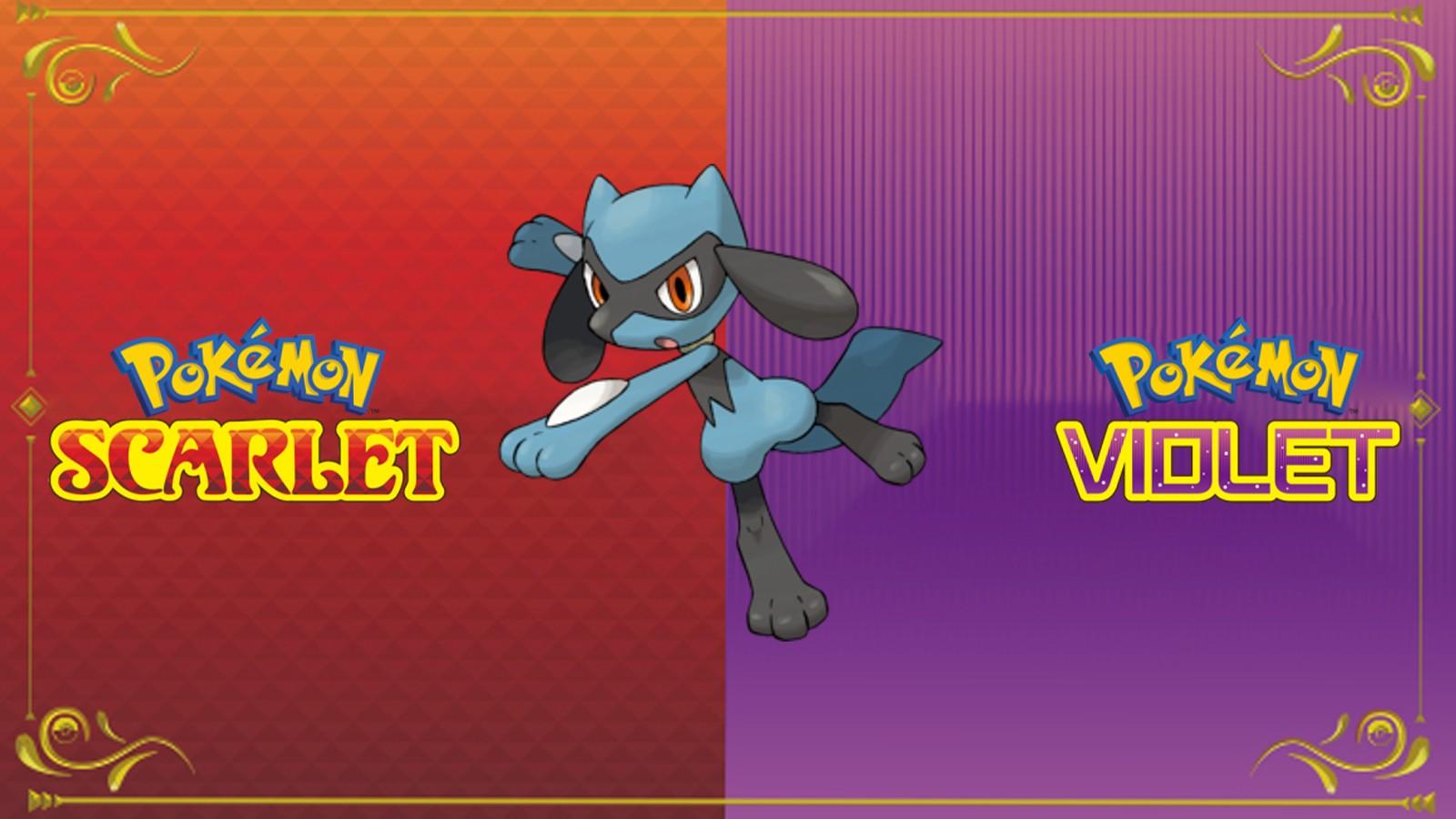 Pokemon Scarlet violet Riolu