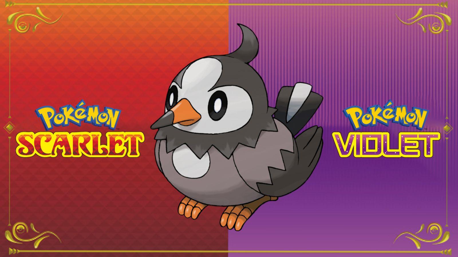 pokemon scarlet violet starly header