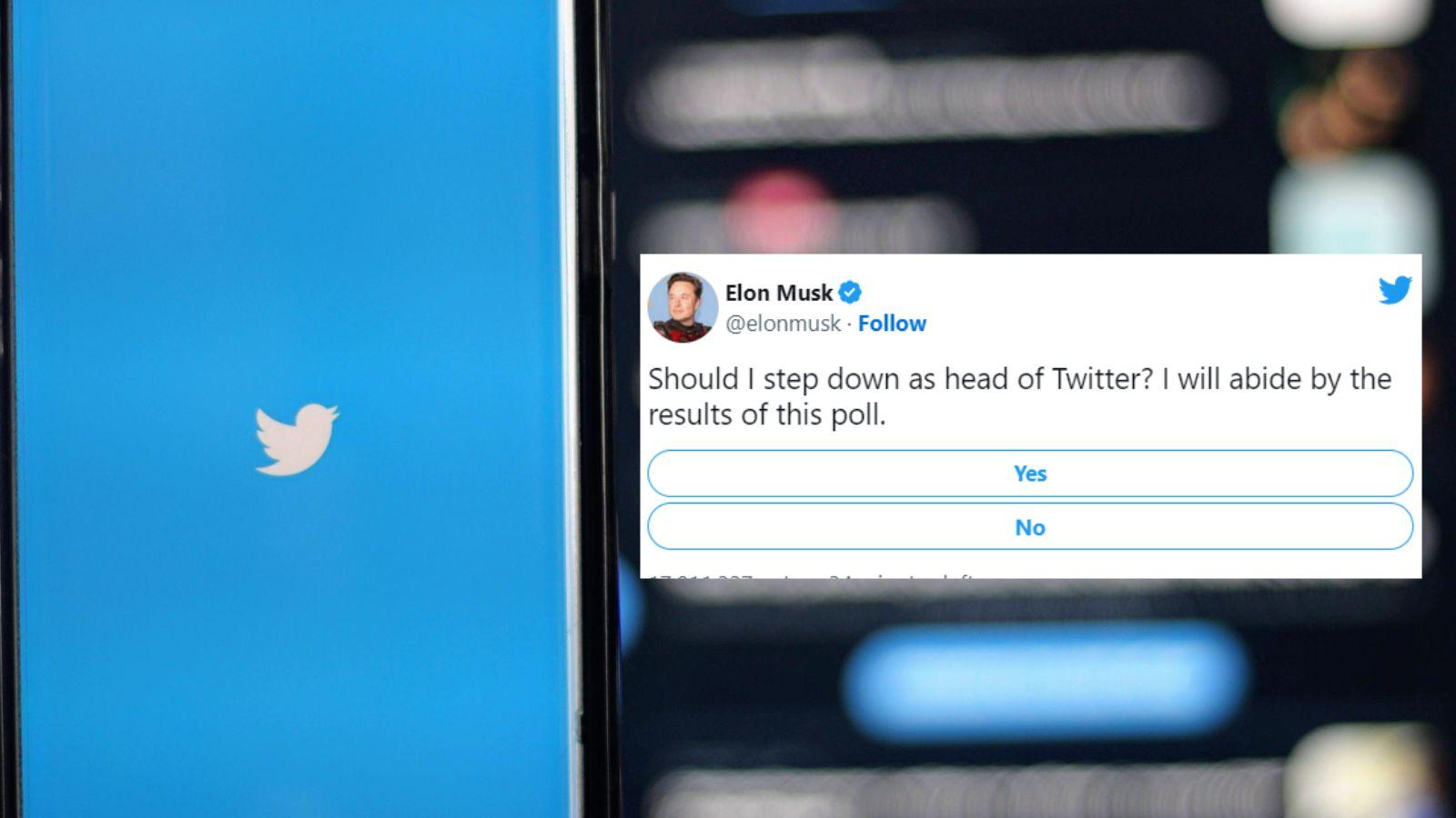 Twitter poll Elon Musk